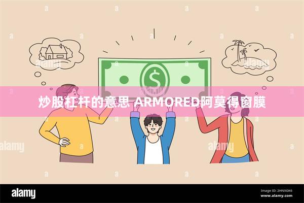 炒股杠杆的意思 ARMORED阿莫得窗膜