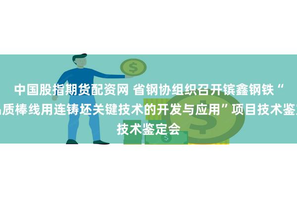 中国股指期货配资网 省钢协组织召开镔鑫钢铁“高品质棒线用连铸坯关键技术的开发与应用”项目技术鉴定会