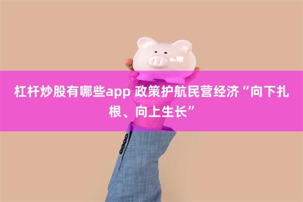 杠杆炒股有哪些app 政策护航民营经济“向下扎根、向上生长”