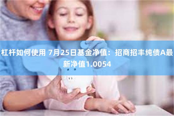 杠杆如何使用 7月25日基金净值：招商招丰纯债A最新净值1.0054