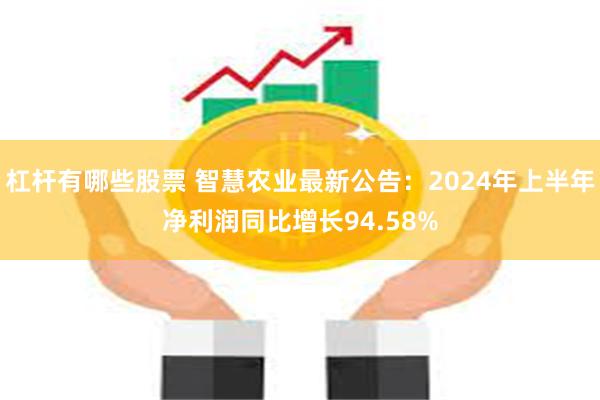 杠杆有哪些股票 智慧农业最新公告：2024年上半年净利润同比增长94.58%