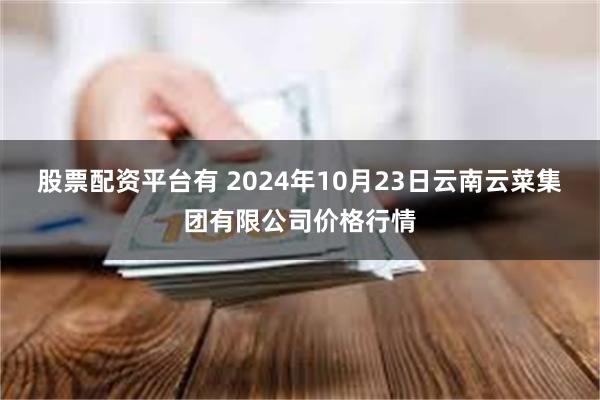 股票配资平台有 2024年10月23日云南云菜集团有限公司价格行情