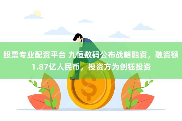 股票专业配资平台 九恒数码公布战略融资，融资额1.87亿人民币，投资方为创钰投资